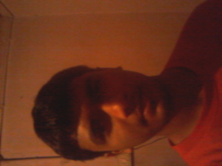 Mithun
